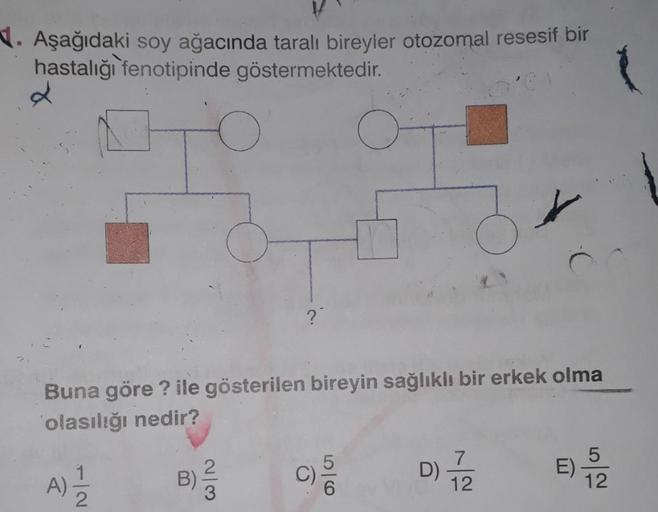 1. Aşağıdaki soy ağacında taralı bireyler otozomal resesif bir
hastalığı fenotipinde göstermektedir.
2
?"
Buna göre ? ile gösterilen bireyin sağlıklı bir erkek olma
olasılığı nedir?
C
)
2
B)
A)
A)
7
D)
12
5
E)
12