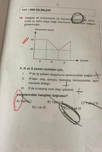 A
TYT / FEN BİLİMLERİ
18. Aşağıda 40 kromozomlu bir hayvanın üreme Ada hücre-
sinde üç farklı olaya bağlı kromozom sayter daki değişim
gösterilmiştir.
Kromozom sayısı
40
20
Zaman
P
R
S
+
P, R ve S zaman aralıkları için,
1. P'de iğ iplikleri oluşumunu sentr