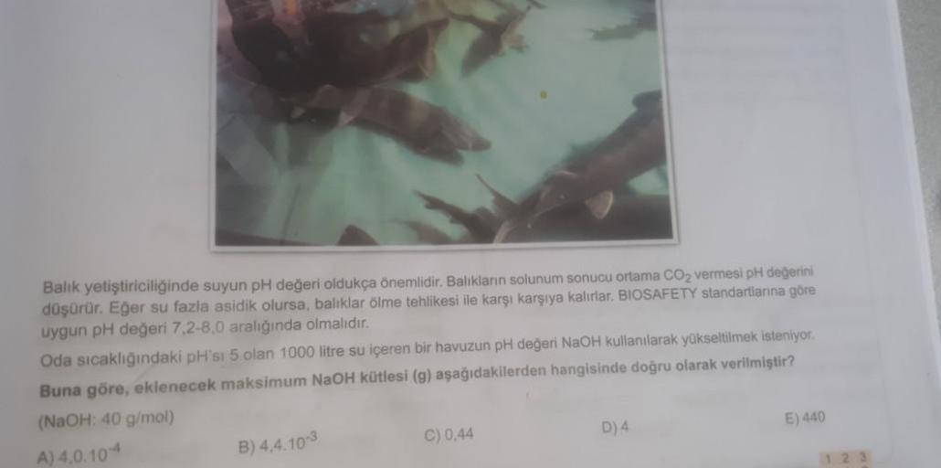 Balık yetiştiriciliğinde suyun pH değeri oldukça önemlidir. Balıkların solunum sonucu ortama CO2 vermesi pH değerini
düşürür. Eğer su fazla asidik olursa, balıklar ölme tehlikesi ile karşı karşıya kalırlar. BIOSAFETY standartlarına göre
uygun pH değeri 7,2