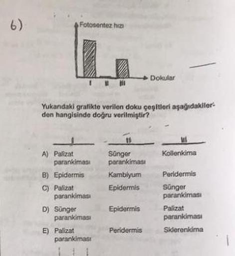 Fotosentez hizi
Dokular
Yukandaki gratikte verilen doku çeşitleri aşağıdakiler-
den hangisinde doğru verilmiştir?
Kollenkima
Sünger
parankimasi
Kambiyum
Epidermis
A) Palizat
parankimasi
B) Epidermis
C) Palizat
parankimas:
D) Sünger
parankimas
E) Palizat
pa