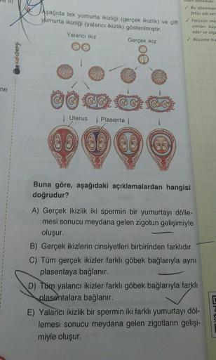 Aşağıda tek yumurta ikizliği (gerçek ikizlik) ve çift
Yumurta ikizliği (yalancı ikizlik) gösterilmiştir.
en donemdir.
Bu dönemde
fetus adı ver
Fetüsün me
simları büy
eder ve olgd
Büyüme hic
Yalancı ikiz
Gerçek ikiz
Kafadengi
ne
@@
Uterus
Plasenta
WY?
sec
B