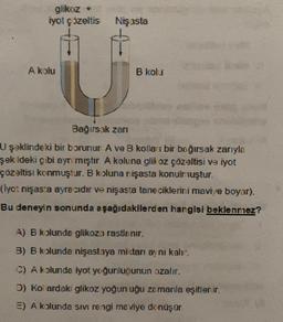 glikoz +
iyot çözeltis
Nişasta
A kolu
B kolu
Bağırsak zari
U şəklindeki bir borunun A ve B kolları bir bağırsak zarıyla
şek ideki gibi ayrı mıştır. A koluna glikoz çözeltisi ve iyot
çözeltisi konmuştur. B koluna nişasta konulmuştur.
(lyo: nişasta ayre cıdır ve nişasta tane ciklerini mavi,e boyar).
Bu deneyin sonunda aşağıdakilerden har gisi beklenniez?
A) B kolunda glikoza rastlanır.
B) B kolunda nişastaya mistari aynı kalır.
C) A kolunda iyot yoğunluğunun azalır.
D) Kol ardaki glikoz yoğun uğu zamanla eşitlenir.
E) A kolunda sivi rengi maviye dönüşür
