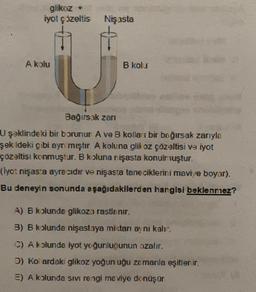 glikoz +
iyot çözeltis
Nişasta
A kolu
B kolu
Bağırsak zari
U şəklindeki bir borunun A ve B kolları bir bağırsak zarıyla
şek ideki gibi ayrı mıştır. A koluna glikoz çözeltisi ve iyot
çözeltisi konmuştur. B koluna nişasta konulmuştur.
(lyo: nişasta ayre cıdır ve nişasta tane ciklerini mavi,e boyar).
Bu deneyin sonunda aşağıdakilerden har gisi beklenniez?
A) B kolunda glikoza rastlanır.
B) B kolunda nişastaya mistari aynı kalır.
C) A kolunda iyot yoğunluğunun azalır.
D) Kol ardaki glikoz yoğun uğu zamanla eşitlenir.
E) A kolunda sivi rengi maviye dönüşür
