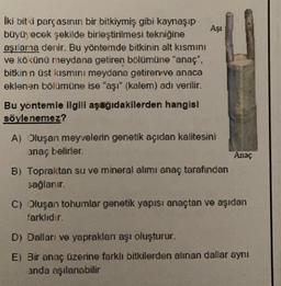 Aşi
iki biti parçasının bir bitkiymiş gibi kaynaşıp
büyü, ecek şekilde birleştirilmesi tekniğine
aşılama denir. Bu yönternde bitkinin alt kısmını
ve kökünü meydana getiren bölümüne "anac",
bitkin n üst kısmını meydana getiren ve anaca
eklenen bölümüne ise "aşı" (kalem) adı verilir.
Bu yontemle ilgili aşağıdakilerden hangisi
söylenemez?
A) Oluşan meyvelerin genetik açıdan kalitesini
anaç belirier
Anaç
B) Topraktan su ve mineral alımı anaç tarafından
sağlarur.
C) Oluşan tohumlar genetik yapısı anaçtan ve aşıdan
farklıdır.
D) Dallari ve yaprakları aşı oluşturur.
E) Bir anaç üzerine farklı bitkilerden alınan dallar aynı
anda aşılanabilir