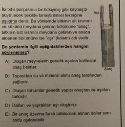 Aşi
iki biti parçasının bir bitkiymiş gibi kaynaşıp
büyü, ecek şekilde birleştirilmesi tekniğine
aşılama denir. Bu yönternde bitkinin alt kısmını
ve kökünü meydana getiren bölümüne "anac",
bitkin n üst kısmını meydana getiren ve anaca
eklenen bölümüne ise "aşı" (kalem) adı verilir.
Bu yontemle ilgili aşağıdakilerden hangisi
söylenemez?
A) Oluşan meyvelerin genetik açıdan kalitesini
anaç belirier
Anaç
B) Topraktan su ve mineral alımı anaç tarafından
sağlarur.
C) Oluşan tohumlar genetik yapısı anaçtan ve aşıdan
farklıdır.
D) Dallari ve yaprakları aşı oluşturur.
E) Bir anaç üzerine farklı bitkilerden alınan dallar aynı
anda aşılanabilir
