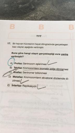 B
B
B
TYT
17. Bir hayvan hücresinin hayat döngüsünde gerçekleşen
bazı olaylar aşağıda verilmiştir.
Buna göre hangi olayın gerçekleştiği evre yanlış
verilmiştir?
A) Profaz: Sentrozom eşlenmesi
B) Telofaz: Kromozomların kromatin ipliğe dönüşmesi
C) Anafaz: S