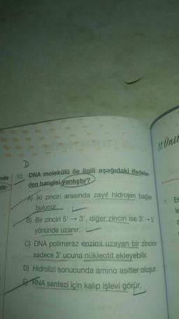 Munic
D
10. DNA molekülü ile ilgili aşağıdaki ifadeler-
nde
ila-
den hangisi yanlıştır?
AJ Iki zinciri arasında zayıf hidrojen bağlan
bulunur.
1. Es
B) Bir zinciri 5' → 3', diğer zinciri ise 3' → 5
yönünde uzanır.
C) DNA polimeraz enzimi uzayan bir zincirin
sadece 3' ucuna nükleotit ekleyebilir.
D) Hidrolizi sonucunda amino asitler oluşur.
BY RNA sentezi için kalıp işlevi görür.
