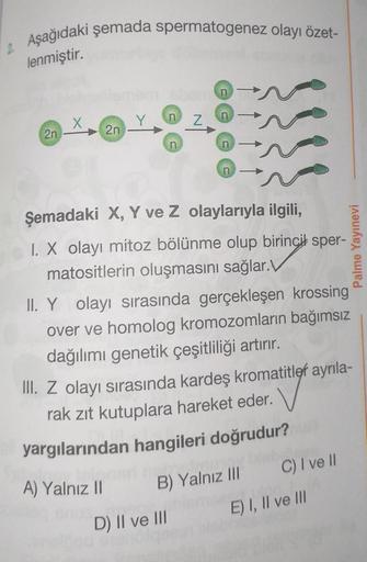 Aşağıdaki şemada spermatogenez olayı özet-
lenmiştir.
n
X
Y
Z
2n
an
n
Palme Yayınevi
Şemadaki X, Y ve Z olaylarıyla ilgili,
1. X olayı mitoz bölünme olup birincił sper-
matositlerin oluşmasını sağlar.V
II. Y olayı sırasında gerçekleşen krossing
over ve hom