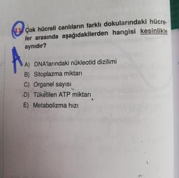 11 Çok hücreli canlıların farklı dokularındaki hücre-
ler arasında aşağıdakilerden hangisi kesinlikle
aynıdır?
***
A) DNA'larındaki nükleotid dizilimi
B) Sitoplazma miktarı
C) Organel sayısı
D) Tüketilen ATP miktarı
E) Metabolizma hızı
20