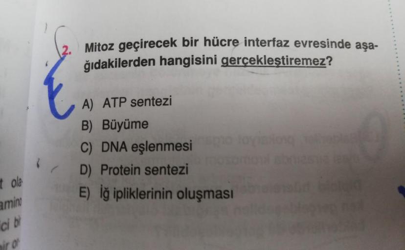 2. Mitoz geçirecek bir hücre interfaz evresinde aşa-
ğıdakilerden hangisini gerçekleştiremez?
A) ATP sentezi
B) Büyüme
C) DNA eşlenmesi
D) Protein sentezi
E) İğ ipliklerinin oluşması
tola
amin
cibi
ir Of