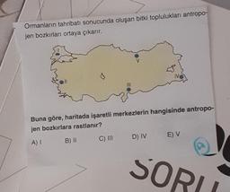 Ormanların tahribatı sonucunda oluşan bitki toplulukları antropo-
jen bozkırları ortaya çıkarır.
IV
Buna göre, haritada işaretli merkezlerin hangisinde antropo-
jen bozkırlara rastlanır?
D) IV
E) V
C) III
B) 11
A)
SORIE
