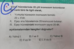 C
4. Vücut hücrelerinde 20 çift kromozom bulunduran
bir canlı türü ile ilgili olarak,
1. Yumurta hücresinin kromozom formülü
20 + X'dir.
II. Eşey ana hücrelerinde 20 kromozom bulunur.
III. Eşey hücresindeki kromozom sayısı 20 dir.
açıklamalarından hangileri doğrudur?
A) Yalnız B) I ve II
C) Yalnız III
D) II ve III E) I, II ve III
