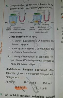 II.
10. Aşağıda özdeş yapıdaki misir tohumları ile ha-
zırlanan iki farklı deney düzeneği gösterilmiştir.
du
A
A kabi
ha
Civa
civa
B kabi
KOH
çözeltisi
Islak
pamuk mısır tohumları
2.deney düzeneği
Çimlenen Oy
K
Islak Çimlenen
pamuk mısır tohumları
1.deney düzeneği
2.
n
B
la
Ba
Palme Yayınevi
Deney düzenekleri ile ilgili,
I. 1. deney düzeneğindeki A kabında gaz
basıncı değişmez.
II. 2. deney düzeneğinde U borusundaki civa
X yönünde hareket eder.
III. 2. deney düzeneğinde, B kabındaki KOH
çözeltisinin CO2 ile tepkimeye girmesi so-
nucu gaz basıncı düşer.
ifadelerinden hangileri doğrudur? (Misir
tohumları çimlenme sürecinde oksijenli solu-
num yapar.)
A) Yalnız !
B) Yalnız 11 C) I ve II
D) I ve III
EN, II ve III
11. Bir molekül glikozun kullanıldığı oksijenli