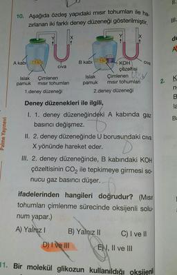 II.
10. Aşağıda özdeş yapıdaki misir tohumları ile ha-
zırlanan iki farklı deney düzeneği gösterilmiştir.
du
A
A kabi
ha
Civa
civa
B kabi
KOH
çözeltisi
Islak
pamuk mısır tohumları
2.deney düzeneği
Çimlenen Oy
K
Islak Çimlenen
pamuk mısır tohumları
1.deney düzeneği
2.
n
B
la
Ba
Palme Yayınevi
Deney düzenekleri ile ilgili,
I. 1. deney düzeneğindeki A kabında gaz
basıncı değişmez.
II. 2. deney düzeneğinde U borusundaki civa
X yönünde hareket eder.
III. 2. deney düzeneğinde, B kabındaki KOH
çözeltisinin CO2 ile tepkimeye girmesi so-
nucu gaz basıncı düşer.
ifadelerinden hangileri doğrudur? (Misir
tohumları çimlenme sürecinde oksijenli solu-
num yapar.)
A) Yalnız !
B) Yalnız 11 C) I ve II
D) I ve III
EN, II ve III
11. Bir molekül glikozun kullanıldığı oksijenli
