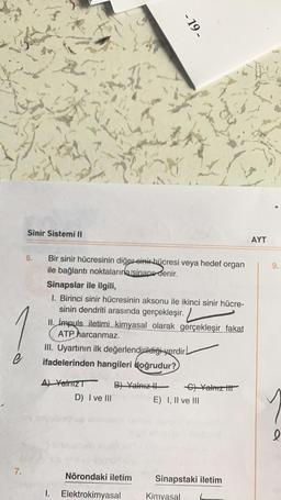 -19-
Sinir Sistemi II
AYT
6.
9.
Bir sinir hücresinin diğer sinir hücresi veya hedef organ
ile bağlantı noktalarınlarsinaps denir.
Sinapslar ile ilgili,
1. Birinci sinir hücresinin aksonu ile ikinci sinir hücre-
sinin dendriti arasında gerçekleşir.
II. impuls iletimi kimyasal olarak gerçekleşir fakat
ATP harcanmaz.
III. Uyartının ilk değerlendirileliği verdir!
ifadelerinden hangileri doğrudur?
e
A) Yatriz
D) I ve III
B7 Yalnızth 6) Yalnız it
E) I, II ve III
l
7.
Nörondaki iletim
Sinapstaki iletim
1.
Elektrokimyasal
Kimyasal
