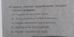 10. Lizozom enzimleri aşağıdakilerden hangisini
hidrolize uğratamaz?
A) Fagositoz ile alınan katı besini
B) Yanlış sentezlenen mRNA molekülünü
C) Golgide sentezlenen yağ molekülünü
D) Aktif taşıma ile alınan molekcio
E) Pinositoz ile alınan sivi besinl