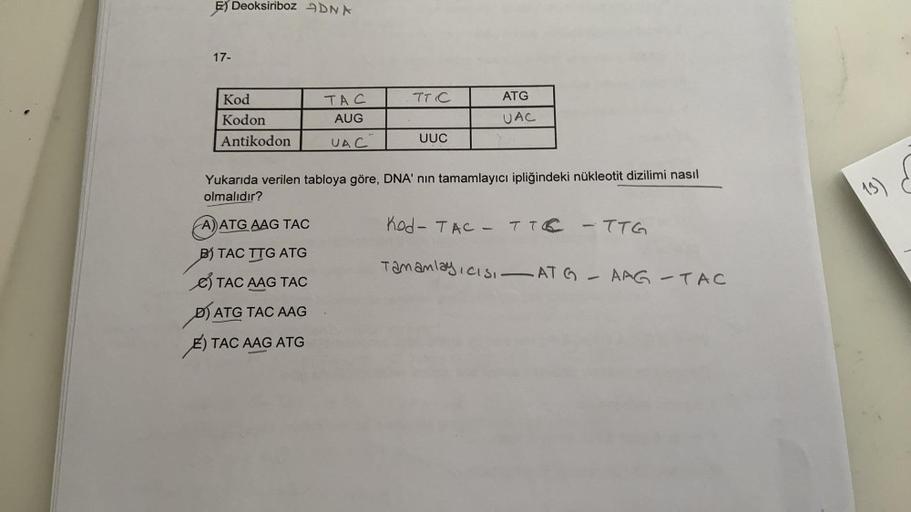 E) Deoksiriboz ODNA
17-
TTC
ATG
Kod
Kodon
Antikodon
TAC
AUG
UAC
UAC
UUC
Yukarıda verilen tabloya göre, DNA' nin tamamlayıcı ipliğindeki nükleotit dizilimi nasıl
olmalıdır?
A) ATG AAG TAC
Kod-TAC – TTC - TTG
Tamanlay cisi ATG - AAG - TAC
B) TÁC TTG ATG
C) T