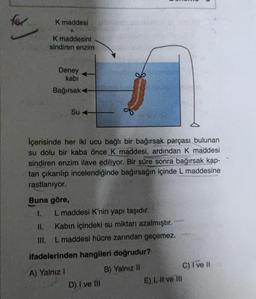 K maddesi
K maddesini
sindiren enzim
Deney
kabi
Bağırsakt
Su
İçerisinde her iki ucu bağlı bir bağırsak parçası bulunan
su dolu bir kaba önce K maddesi, ardından K maddesi
sindiren enzim ilave ediliyor. Bir süre sonra bağırsak kap-
tan çıkarılıp incelendiğinde bağırsağın içinde L maddesine
rastlanıyor.
Buna göre,
1. L maddesi K'nin yapı taşıdır.
Kabın içindeki su miktarı azalmıştır.
III. L maddesi hücre zarından geçemez.
ifadelerinden hangileri doğrudur?
A) Yalnız!
B) Yalnız II
C) I ve II
D) I ve III
E) I, II ve III
