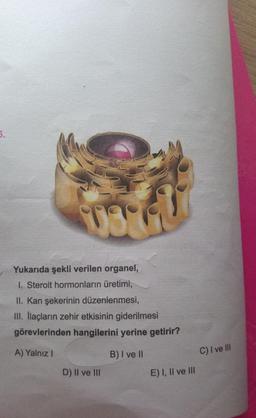 5.
Yukarıda şekli verilen organel,
1. Steroit hormonların üretimi,
II. Kan şekerinin düzenlenmesi,
III. llaçların zehir etkisinin giderilmesi
görevlerinden hangilerini yerine getirir?
A) Yalnız i
B) I ve 10
C) I ve III
D) II ve III
E) I, II ve III
