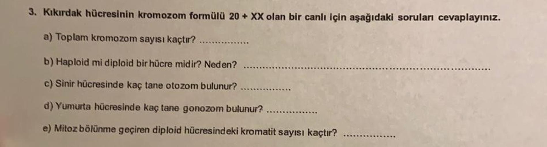 3. Kıkırdak hücresinin kromozom formülü 20 + XX olan bir canlı için aşağıdaki soruları cevaplayınız.
a) Toplam kromozom sayısı kaçtır?
b) Haploid mi diploid bir hücre midir? Neden?
c) Sinir hücresinde kaç tane otozom bulunur?
d) Yumurta hücresinde kaç tane