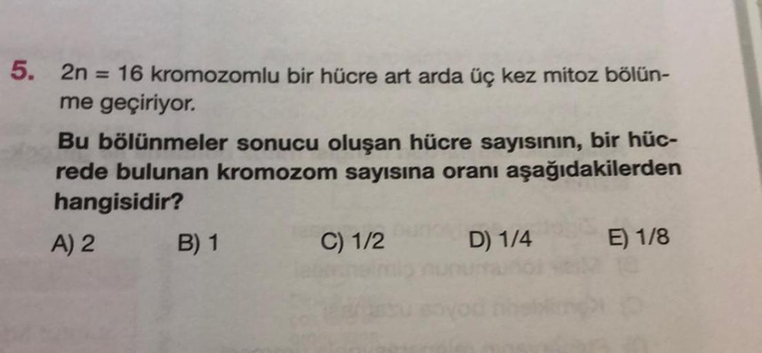 5. 2n = 16 kromozomlu bir hücre art arda üç kez mitoz bölün-
me geçiriyor.
Bu bölünmeler sonucu oluşan hücre sayısının, bir hüc-
rede bulunan kromozom sayısına oranı aşağıdakilerden
hangisidir?
A) 2 B) 1
C) 1/2 D) 1/4
E) 1/8
