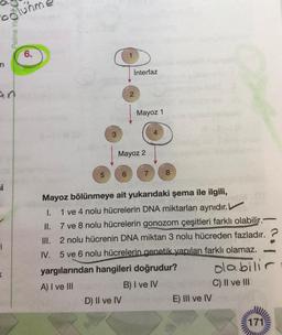 bolunn
Palme Yao
6.
n
İnterfaz
2
Mayoz 1
Mayoz 2
5
si
-
Mayoz bölünmeye ait yukarıdaki şema ile ilgili,
I. 1 ve 4 nolu hücrelerin DNA miktarları aynıdır.
II. 7 ve 8 nolu hücrelerin gonozom çeşitleri farklı olabilir.-
III. 2 nolu hücrenin DNA miktarı 3 nolu hücreden fazladır. ?
IV. 5 ve 6 nolu hücrelerin genetik yapıları farklı olamaz.
yargılarından hangileri doğrudur?
A) I ve III
B) I ve IV
C) II ve III
D) II ve IV
E) III ve IV
olabilir
<
171
WWW