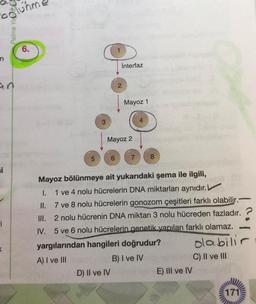 bolunn
Palme Yao
6.
n
İnterfaz
2
Mayoz 1
Mayoz 2
5
si
-
Mayoz bölünmeye ait yukarıdaki şema ile ilgili,
I. 1 ve 4 nolu hücrelerin DNA miktarları aynıdır.
II. 7 ve 8 nolu hücrelerin gonozom çeşitleri farklı olabilir.-
III. 2 nolu hücrenin DNA miktarı 3 nolu hücreden fazladır. ?
IV. 5 ve 6 nolu hücrelerin genetik yapıları farklı olamaz.
yargılarından hangileri doğrudur?
A) I ve III
B) I ve IV
C) II ve III
D) II ve IV
E) III ve IV
olabilir
<
171
WWW
