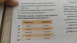 Paramesyum
1. Işık enerjisini kullanarak organik besin sentezleme
II. Organik moleküllerin inorganik maddelere kadar par-
çalanması
&
III. DNA'daki şifreye göre organik madde sentezleme
IV. Proteinlerden amino asit elde etme
Yukarıdaki anabolik ve katabolik olaylar eşleştirildi-
ğinde aşağıdakilerden hangisi gibi olur?
Farklı alemlerde bulu
yaşayan yukarıdaki
den hangileri kesinl
A) Anabolizma (yap
gerçekleştirebilr
B) Metabolik atıkla
Anabolizma
Katabolizma
C) Işık enerjisini
madde üretm
AL
I ve III
Il ve IV
B)
Yalnız!
II, III ve IV
De Zarla çevrili
C)
Yalnız III
I, II ve IV
El Eşeysiz üre
I ve IV
D)
Il ve III
III ve IV
E
I ve II