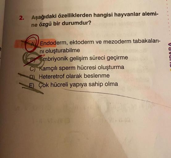 2.
Aşağıdaki özelliklerden hangisi hayvanlar alemi-
ne özgü bir durumdur?
.
Endoderm, ektoderm ve mezoderm tabakaları-
ni oluşturabilme
By Embriyonik gelişim süreci geçirme
C) Kamçılı sperm hücresi oluşturma
D) Heteretrof olarak beslenme
E) Çok hücreli yap