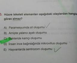 5. Hücre iskeleti elemanları aşağıdaki olaylardan hangisi
görev almaz?
A) Paramesyumda sil oluşumu
B) Amipte yalancı ayak oluşumu
C) Bakteride kamçı oluşumu
D) İnsan ince bağırsağında mikrovillus oluşumu
E) Hayvanlarda sentrozom oluşumu v
