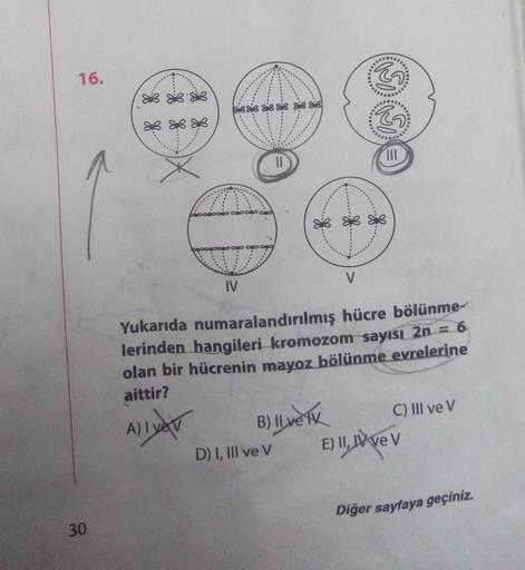 16.
1888
* *
V
IV
Yukarıda numaralandırılmış hücre bölünme-
lerinden hangileri kromozom sayısı 2n = 6
olan bir hücrenin mayoz bölünme evrelerine
aittir?
A) Iyev B) llverk C) III ve V
D) I, III ve V E) II, A VE V
Diğer sayfaya geçiniz.
30