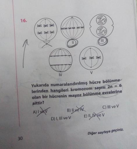 16.
1888
* *
V
IV
Yukarıda numaralandırılmış hücre bölünme-
lerinden hangileri kromozom sayısı 2n = 6
olan bir hücrenin mayoz bölünme evrelerine
aittir?
A) Iyev B) llverk C) III ve V
D) I, III ve V E) II, A VE V
Diğer sayfaya geçiniz.
30
