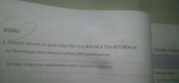 SORU
1. Ökaryot hücrede bir genin kalip DNA dizisi ATG GCA TCA GCT ACA ise
a) Okunmayan kalip olmayan iplikteki DNA dizisini yazınız.
OKUMA PARC
b) Kalıp ipliğe göre sentezlenen mRNA kodonlarını yazınız.
Obezite Geni
Aşırı kilo alimina