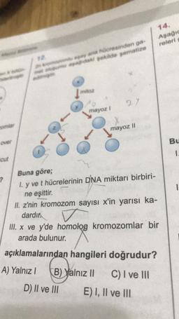 14.
Asagio
releri
wydaresinden ga
de sematie
2
mayoz!
mayoz II
over
Bu
1.
cut
7.
|
Buna göre;
1. y ve t hücrelerinin DNA miktarı birbiri-
ne eşittir.
II. z'nin kromozom sayısı x'in yarısı ka-
dardır.
III. x ve y'de homolog kromozomlar bir
arada bulunur.
açıklamalarından hangileri doğrudur?
A) Yalnız!
B) Yalnız II
C) I ve III
D) II ve III
E) I, II ve III