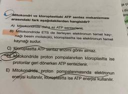 a
ja cu
tdü
ilm
nd
Mitokondri ve kloroplasttaki ATP sentez mekanizması
arasındaki fark aşağıdakilerden hangisidir?
A) Mitokondride daha az ATP sentezlenic.
B) Mitokondride ETS de ilerleyen elektronun temel kay-
nağı besin molekülü, kloroplastta ise elektronun temel
kaynağı sudur.
C) Kloroplastta ATP sentaz enzimi görev almaz.
al Mitokondride proton pompalanırken kloroplastta ise
protonlar geri dönerken ATP sentezlenir. 019 0
E) Mitokondride proton pompalanmasında elektronun
enerjisi kullanılır, kloroplastta ise ATP enerjisi kullanılır.