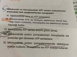 a
ja cu
tdü
ilm
nd
Mitokondri ve kloroplasttaki ATP sentez mekanizması
arasındaki fark aşağıdakilerden hangisidir?
A) Mitokondride daha az ATP sentezlenic.
B) Mitokondride ETS de ilerleyen elektronun temel kay-
nağı besin molekülü, kloroplastta ise elektronun temel
kaynağı sudur.
C) Kloroplastta ATP sentaz enzimi görev almaz.
al Mitokondride proton pompalanırken kloroplastta ise
protonlar geri dönerken ATP sentezlenir. 019 0
E) Mitokondride proton pompalanmasında elektronun
enerjisi kullanılır, kloroplastta ise ATP enerjisi kullanılır.
