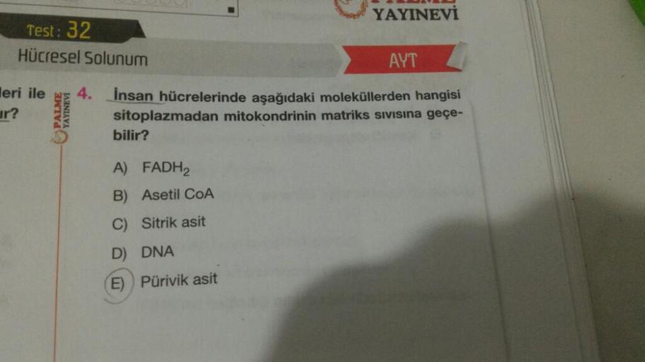 YAYINEVİ
Test: 32
Hücresel Solunum
AYT
4.
leri ile
ar?
PALME
YAYINEVİ
Insan hücrelerinde aşağıdaki moleküllerden hangisi
sitoplazmadan mitokondrinin matriks sivisina geçe-
bilir?
A) FADH2
B) Asetil COA
C) Sitrik asit
D) DNA
E) Pürivik asit