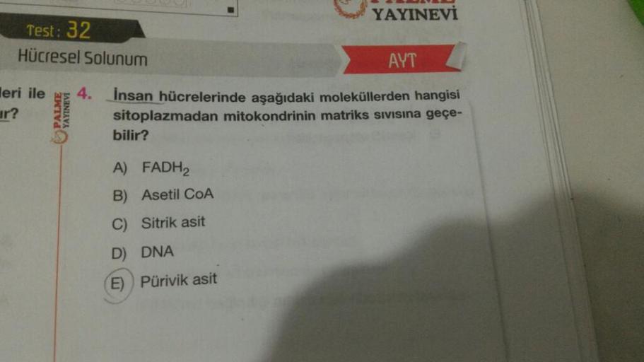 YAYINEVİ
Test: 32
Hücresel Solunum
AYT
4.
leri ile
ar?
PALME
YAYINEVİ
Insan hücrelerinde aşağıdaki moleküllerden hangisi
sitoplazmadan mitokondrinin matriks sivisina geçe-
bilir?
A) FADH2
B) Asetil COA
C) Sitrik asit
D) DNA
E) Pürivik asit
