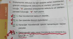 7.
ÜNİTE - 2
5. Endoplazmik retikulum ile ilgili aşağıda verilen özelliklerden
granüllü endoplazmik retikuluma ait olanların yanındaki ku-
tucuğa “A”, granülsüz endoplazmik retikuluma ait olanların
yanıdaki kutucuğa "B" harfi yazınız.
VB 1. Kas hücrelerinde kalsiyum depolar.,
2. Zarı üzerinde ribozom bulundurur.
HÜCRE
3 3. Karaciğer hücrelerinde işlevini tamamlayan ilaçları
parçalar.
4. Pankreas gibi salgı yapan hücrelerde bol miktarda bu-
lunur.*> Bak
