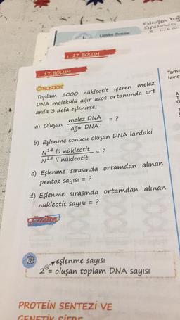 Hidrogen boe
sirasinda
Genden Proteine
17. BÖLÜM
17. BÖLÜM
Tama
layıc
= ?
ÖRNEK
Toplam 1000 nükleotit içeren melez
DNA molekülü ağır azot ortamında art
arda 3 defa eşlenirse;
melez DNA
a) Oluşan
ağır DNA
b) Eşlenme sonucu oluşan DNA lardaki
N14 lü nükleotit
= ?
N15 li nükleotit
C) Eşlenme sırasında ortamdan alınan
pentoz sayısı = ?
d) Eşlenme sırasında ortamdan alınan
nükleotit sayısı = ?
COZUM
B
, eşlenme sayısı
2°= oluşan toplam DNA sayısı
PROTEIN SENTEZI VE
GENETİK sicer