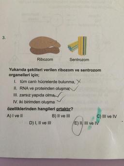 3.
Ribozom
Sentrozom
Yukarıda şekilleri verilen ribozom ve sentrozom
organelleri için;
I. tüm canlı hücrelerde bulunma, X
II. RNA ve proteinden oluşma,
III. zarsız yapıda olma,
IV. iki birimden oluşma
özelliklerinden hangileri ortaktır?
A) I ve II
B) II ve III
C) III ve IV
D) I, II ve III
E) II, III ve IV