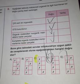 EZI
2. Aşağıdaki tabloda mitokondri organeli ile ilgili hazırlanan bir
doğru-yanlış testi verilmiştir.
na-
Yanlış
Doğru
v
Çift zarlı bir organeldir.
ETS bulundurur.
Organik molekülleri inorganik mad-
delere kadar parçalar.
Kompleks organik molekülleri mono-
merlerine kadar parçalar.
Buna göre tablodaki sorular mitokondriye uygun şekil-
de cevaplanacak olursa aşağıdakilerden hangisi doğru
olur?
D)
E)
C)
A)
X
B)
x
X
X
X
X
X
X
X
X
X
X
X
X
X
X
X
X