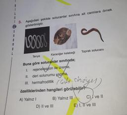 8
i
G
| 3. Aşağıdaki şekilde solucanlar sınıfına ait canlılara örnek
gösterilmiştir.
A
A
M
A
Voss
Toprak solucani
Tenya
Karaciğer kelebeği
Buna göre solucanlar sınıfında;
1. rejenelasyon ile ürenle,
II. deri solunumu yapma,
III. hermafroditlik Gity
özelliklerinden hangileri görülebilir?
A) Yalnız!
B) Yalnız III C) I ve II
D) II ve III
E) I, II ve III
cinsiyes)