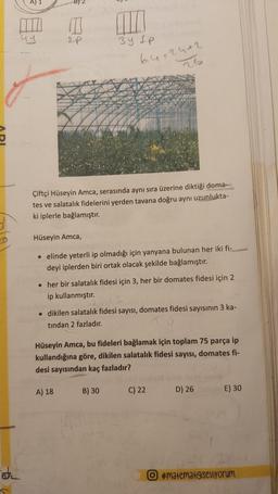A)
uy
2p
34 LP
6402442
Çiftçi Hüseyin Amca, serasında aynı sıra üzerine diktiği doma-
tes ve salatalık fidelerini yerden tavana doğru aynı uzunlukta-
ki iplerle bağlamıştır.
Hüseyin Amca,
• elinde yeterli ip olmadığı için yanyana bulunan her iki fi-
deyi iplerden biri ortak olacak şekilde bağlamıştır.
• her bir salatalık fidesi için 3, her bir domates fidesi için 2
ip kullanmıştır.
• dikilen salatalık fidesi sayısı, domates fidesi sayısının 3 ka-
tindan 2 fazladır.
Hüseyin Amca, bu fideleri bağlamak için toplam 75 parça ip
kullandığına göre, dikilen salatalık fidesi sayısı, domates fi-
desi sayısından kaç fazladır?
A) 18
B) 30
C) 22
D) 26
E) 30
Bu
#matematigiseviyorum