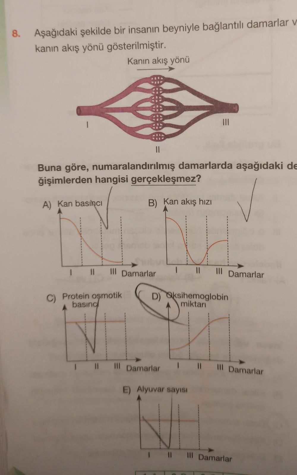 8 Asagidaki Sekilde Bir Insanin Beyniyle Baglantil Biyoloji