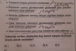 • Yengecin kopan çenesini yenilemesi / regenerasyonla
yenilene
• Patatesin yumru gövdesindeki gözlerden yeni patates
bitkisinin elde edilmesi
bitkisinin elde edilmesi veseysaz
• Anlarda döllenme sonucu oluşan zigottan kraliçe annın
oluşumu
Çilek bitkisinin sürünücü gövdesindeki gözlerden yeni
çilek bitkisinin gelişmesi v eşeysiz
• Misir tohumlarından yeni mısır bitkilerinin elde edilmesi yo
tohum
Yukarıda verilen olaylardan kaç tanesi eşeysiz üremeye
örnek olarak verilebilir?
B) 2
A) 1
C) 3
D) 4
4
E) 5
12.