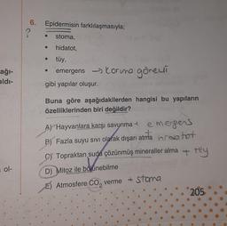 6.
Epidermisin farklılaşmasıyla;
?
O
stoma,
hidatot,
tüy,
ağı-
aldı-
emergens - Koruna görevi
gibi yapılar oluşur.
Buna göre aşağıdakilerden hangisi bu yapıların
özelliklerinden biri değildir?
AY Hayvanlara karşı savunma + emergers
B) Fazla suyu sivi olarak dışarı atma hidatot
C) Topraktan suda çözünmüş mineraller alma
+ Hy
D) Mitoz ile bölünebilme
E) Atmosfere co, verme + stoma
205
ol-
