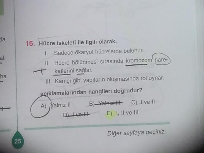 la al 16. Hücre iskeleti ile ilgili olarak, 1. Sad… Biyoloji la al 16. Hücre iskeleti ile ilgili olarak, 1. Sad… Biyoloji