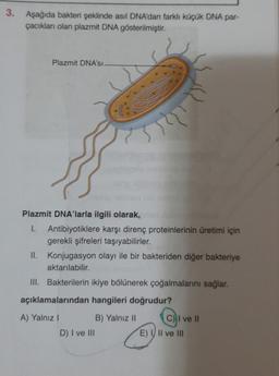 3. Aşağıda bakteri şeklinde asıl DNA'dan farklı küçük DNA par-
çacıkları olan plazmit DNA gösterilmiştir.
Plazmit DNA'SI
Plazmit DNA'larla ilgili olarak,
1. Antibiyotiklere karşı direnç proteinlerinin üretimi için
gerekli şifreleri taşıyabilirler.
II. Konjugasyon olayı ile bir bakteriden diğer bakteriye
aktarılabilir.
III. Bakterilerin ikiye bölünerek çoğalmalarını sağlar.
açıklamalarından hangileri doğrudur?
A) Yalnız! B) Yalnız 11
C) I ve II
D) I ve III
E) I/II ve III
