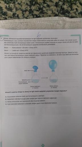 6
3.
Ahmet, bilimsel bir kaynakta fermantasyon ile ilgili aşağıdaki açıklamaları okumuştur.
Fermantasyon, bazı canlıların hücrelerinde oksijen kullanmaksızın enerji elde edilen bir süreçtir. Son ürünler açısın-
dan birbirinden farklı fermantasyon tipleri v